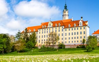 Benedictine Abbey in Donauwörth with yellow facade and orange roof, surrounded by green meadow with yellow dandelions and white flowers.