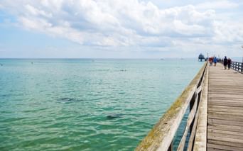 Hölzerne Seebrücke mit Geländer erstreckt sich in die türkisfarbene Ostsee. Menschen gehen auf der Brücke unter bewölktem Himmel.