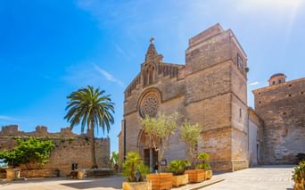 Gotische Kirche Sant Jaume mit Rosette in Alcudia, Mallorca. Steinfassade mit Palme und Pflanzgefäßen auf sonnigem Platz, umgeben von alten Mauern.