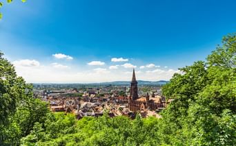 Panoramablick auf Freiburg im Schwarzwald mit dem Münsterturm über den roten Dächern, eingerahmt von grünen Bäumen und Bergen.