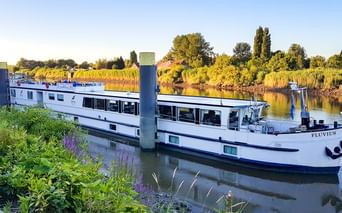 Weißes Passagierschiff MS Fluvius an einem Kanal in den Niederlanden, umgeben von grüner Vegetation und Herbstbäumen entlang der Wasserstraße.