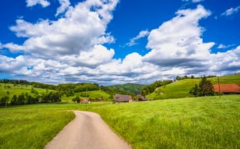 Asphaltierter Radweg durch grüne Felder im Schwarzwald bei Steinach, mit traditionellen Bauernhäusern und sanften Hügeln unter blauem Himmel.