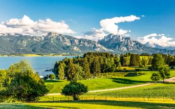 Grüne Wiesen und Wälder am Forggensee bei Füssen, mit dramatischer Alpenkulisse unter blauem Himmel mit weißen Wolken.
