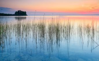 Ruhiger See bei Sonnenuntergang mit Schilf im Vordergrund. Pastellfarbener Himmel spiegelt sich im stillen Wasser. Kleine bewaldete Insel in der Ferne.