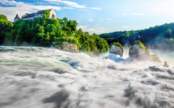 Rheinfall bei Schaffhausen mit rauschenden weißen Wassermassen über Felsen. Historische Gebäude und grüne Bäume auf dem Hügel über dem Wasserfall.