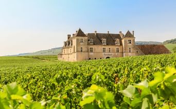 Schloss Clos de Vougeot, ein historisches Steinschloss mit Türmen, umgeben von grünen Weinbergen unter blauem Himmel im Burgund.