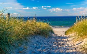 Sandweg zwischen grasbewachsenen Dünen zum Strand von Kühlungsborn an der Ostsee. Blauer Himmel mit weißen Wolken über türkisfarbenem Wasser.