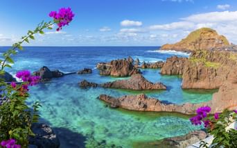 Natürliche Vulkanfelsen-Pools mit türkisfarbenem Wasser in Porto Moniz, Madeira, eingerahmt von rosa Bougainvillea-Blüten und Meerblick.