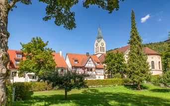 Blick auf Fridingens Altstadt mit traditionellen Häusern, roten Ziegeldächern und weißem Kirchturm. Grüne Wiese und Bäume rahmen die Szene.