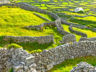 Luftaufnahme traditioneller Steinmauern, die leuchtend grüne Felder auf den Aran Islands, Irland, teilen. Ein weißes Häuschen ist in der Ferne sichtbar.