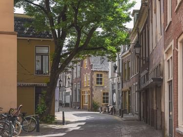 Schmale Kopfsteinpflastergasse in Leeuwarden mit traditionellen niederländischen Gebäuden, geparkten Fahrrädern und einem großen Baum.