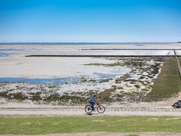 Radfahrer in blauer Jacke fährt entlang Küstenweg bei Schlüttsiel mit ausgedehntem Wattenmeer und flachen Wasserflächen unter klarem Himmel.