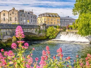 Wasserfall am Fluss in Galway mit rosa Blumen im Vordergrund, Steinbrücke und historischen Gebäuden unter blauem Himmel mit grünen Bäumen.