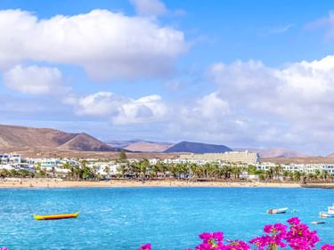 Küstenblick auf Costa Teguise mit türkisfarbenem Wasser, weißen Gebäuden, Palmen und Vulkanbergen. Rosa Bougainvillea-Blüten rahmen die Szene.