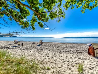 Ruhiger Ostseestrand auf Mönchgut mit traditionellen Strandkörben auf weißem Sand, ruhigem blauen Wasser und grünen Baumzweigen im Vordergrund.