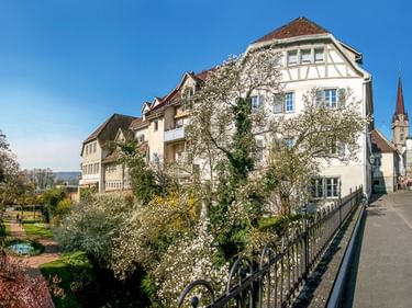 Traditionelle Fachwerkhäuser und Kirchturm in Radolfzell am Bodensee. Blühende Bäume säumen einen Gartenbereich neben einer Straße.