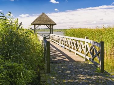 Holzsteg mit weißem Geländer führt zu einem überdachten Pavillon am Zierker See in Neustrelitz, umgeben von hohem Schilf unter blauem Himmel.