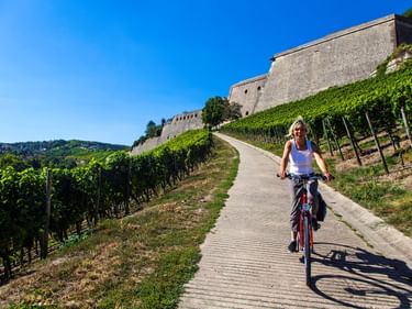Frau fährt Rad auf gepflastertem Weg durch Weinbergreihen in Würzburg mit historischer Festungsmauer am Hang unter blauem Himmel.