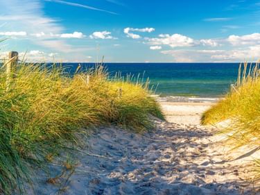 Sandiger Weg durch Dünen mit Strandgras zum Ostseestrand in Kühlungsborn unter blauem Himmel mit weißen Wolken.