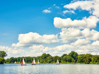 Mehrere Segelboote mit weißen und roten Segeln auf dem Aasee in Münster. Grüne Baumreihe am Ufer unter blauem Himmel mit weißen Wolken.