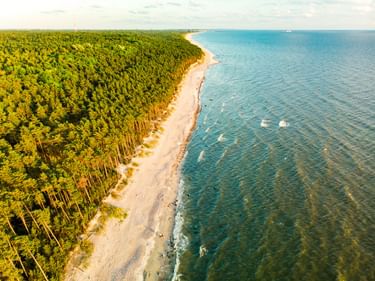 Luftaufnahme der litauischen Ostseeküste bei Klaipeda mit dichtem Kiefernwald an einem Sandstrand und türkisfarbenem Meer.