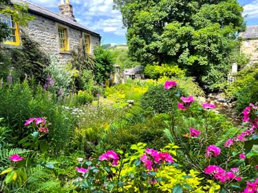Üppiger englischer Cottage-Garten mit rosa Rosen und gelben Blumen neben einem Steinhaus mit gelb gerahmten Fenstern. Ein Bach fließt durch dichtes Grün.