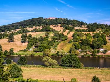 Dilsberg auf einem bewaldeten Hügel über dem Neckar. Terrassenfelder und vereinzelte Bäume bedecken den Hang unter blauem Himmel.