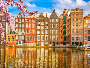 Reihe bunter traditioneller Grachtenhäuser entlang Amsterdamer Kanal mit Kirschblüten. Gebäude spiegeln sich im ruhigen Wasser mit Booten.