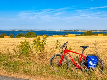 Rotes Fahrrad mit blauen Taschen am Straßenrand neben goldenem Erntefeld. Blaues Meer und Küstenlandschaft im Hintergrund unter klarem Himmel.