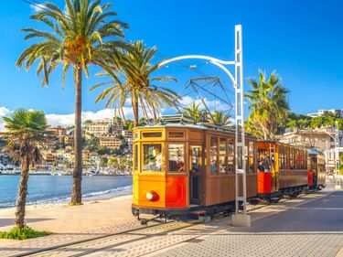 Historische gelb-rote Holzstraßenbahn an der Promenade von Port de Sóller mit Palmen, Hafen und Hanghäusern unter blauem Himmel.