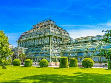 Historic glass and metal greenhouse with domed roof in Vienna's Botanical Garden, surrounded by manicured lawn and rounded topiary bushes.