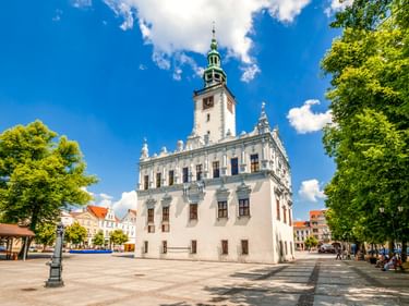 Weißes Renaissance-Rathaus mit Uhrturm auf sonnigem Marktplatz in Chelmno, Polen. Grüne Bäume rahmen das Gebäude unter blauem Himmel.