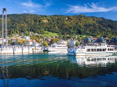 Weiße Passagierschiffe im Hafen von Bregenz mit ruhigem türkisfarbenem Wasser. Bewaldete Hügel und Gebäude im Hintergrund unter blauem Himmel.