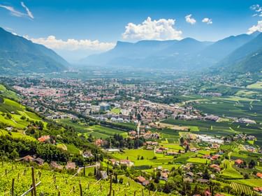 Luftaufnahme von Meran in einem Tal mit Weinbergen, umgeben von Bergen. Die Stadt erstreckt sich über den Talboden mit grünen Hügeln im Vordergrund.
