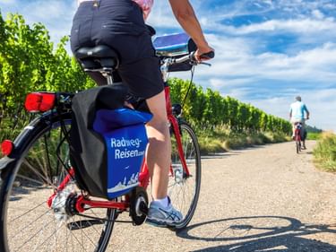 Radfahrer mit blauen Taschen auf Weg zwischen Weinbergen. Ein weiterer Radfahrer ist voraus unter blauem Himmel mit weißen Wolken sichtbar.