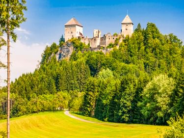 Burg Gallenstein mit zwei runden Türmen thront auf einem felsigen Hügel mit dichtem grünem Wald. Ein gewundener Weg führt durch Wiesen.