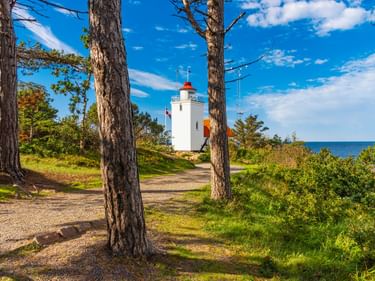 Weißer Hammerodde Leuchtturm auf Bornholm, eingerahmt von Kiefern, mit einem Kiesweg und der Ostsee im Hintergrund.