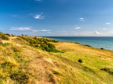 Grasbewachsene Küstendünen auf der Insel Ærø mit goldener Vegetation, die zum türkisfarbenen Meer unter blauem Himmel abfällt.