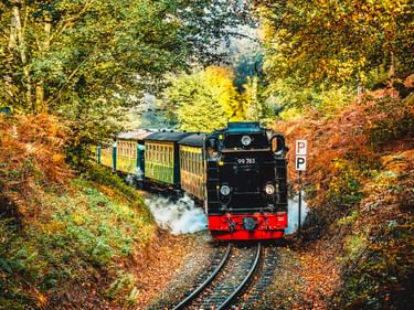Schwarz-rote Dampflokomotive Rasender Roland mit gelben Personenwagen fährt durch herbstlichen Wald mit buntem Laub.