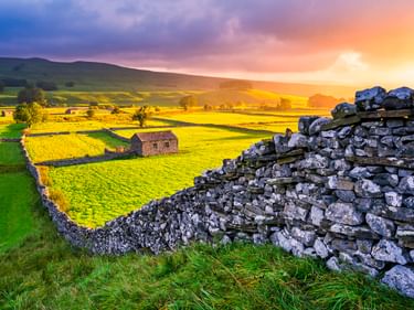 Steinmauer im Vordergrund mit gelben Wildblumenwiesen und Steinscheune im Yorkshire Dales Nationalpark bei Sonnenuntergang mit sanften Hügeln.