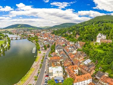 Panorama-Luftaufnahme von Miltenberg mit historischer Altstadt, roten Ziegeldächern, Main, Steinbrücke und Burg auf bewaldetem Hügel.