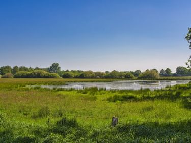 Grüne Feuchtwiese mit Wasserflächen und Schilf im Naturschutzgebiet Emsdettener Venn. Bäume säumen den Horizont unter blauem Himmel.