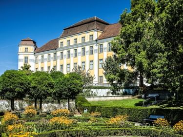 Schloss Tettnang, ein gelbes Barockgebäude mit braunem Dach, erhebt sich über einem terrassierten Garten mit gelben Blumen und grünen Hecken.