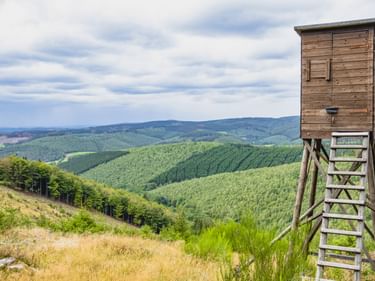 Hölzerner Hochsitz mit Leiter überblickt bewaldete Hügel nahe der Lahnquelle. Grüne Hügellandschaft unter bewölktem Himmel.