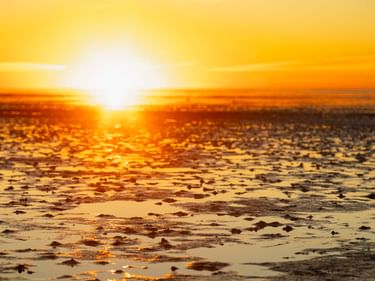 Goldener Sonnenuntergang über dem Wattenmeer mit heller Sonne, die sich auf nassen Wattflächen mit dunklen Sand- und Seegrasflecken spiegelt.