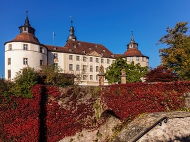 Schloss Langenburg mit weißen Mauern und roten Ziegeldächern, mit zwei runden Türmen. Roter Herbstefeu bedeckt die Steinmauer im Vordergrund.