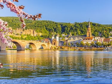 Heidelberger Schloss und Alte Brücke über dem Neckar mit Kirschblüten im Vordergrund, Kirchturm und bewaldeten Hügeln unter blauem Himmel.