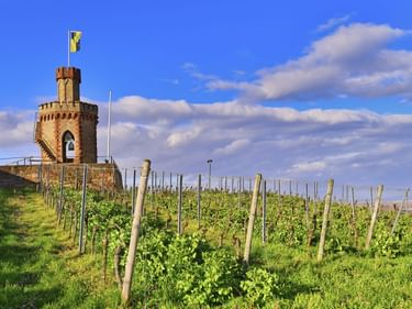 Steinturm mit Flagge auf Hügel, umgeben von grünen Weinbergreihen unter blauem Himmel mit weißen Wolken bei Bad Dürkheim an der Weinstraße.