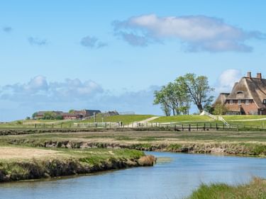 Traditionelle Reetdachhäuser auf grünen Deichen neben einem gewundenen Wasserweg in der Nordseeregion. Blauer Himmel mit weißen Wolken über flacher Landschaft.