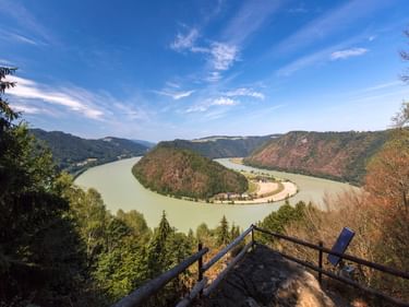 Panoramic view of the Danube river forming a dramatic horseshoe bend at Schlögener Schlinge, with forested hills and a viewing platform.